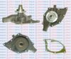 AQUAPLUS 85-4740 Water Pump